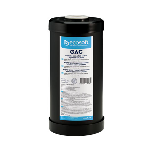 Ecosoft 4.5
