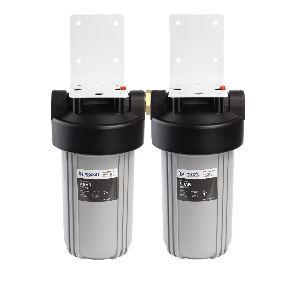 Ecosoft ADV Whole House Water Filter System (Dual)
