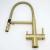 Riva Brushed Brass Pull-Out Spray-Hose 3-Way Tap (Triflow Filter Tap)