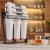 Ecosoft RObust Mini Reverse Osmosis Filter (60 LPH)