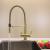 Riva Brushed Brass Pull-Out Spray-Hose 3-Way Tap (Triflow Filter Tap)