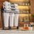 Ecosoft RObust Mini Reverse Osmosis Filter (60 LPH)