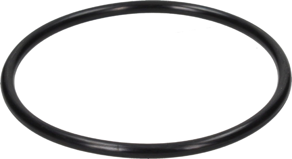 Filter Housing 10 Inch 0-Ring